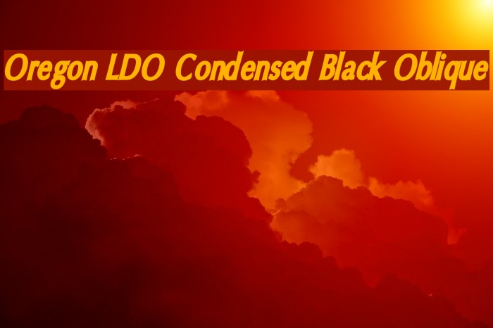 Oregon LDO Condensed Black Oblique フォント examples