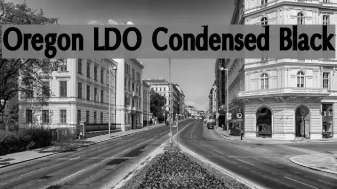 Oregon LDO Condensed Black Font examples