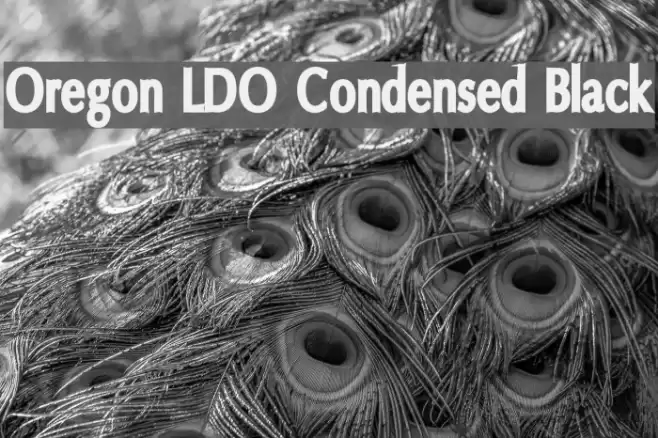 Oregon LDO Condensed Black Font examples