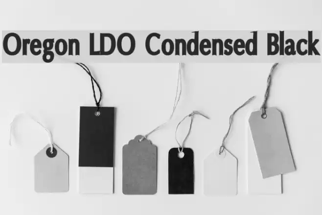 Oregon LDO Condensed Black Font examples