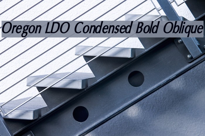 Oregon LDO Condensed Bold Oblique Font examples