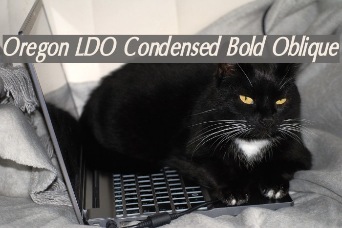 Oregon LDO Condensed Bold Oblique Font examples