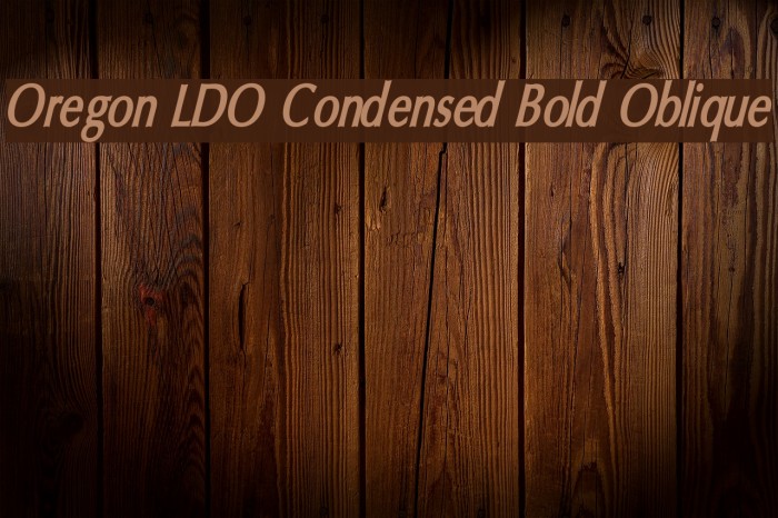 Oregon LDO Condensed Bold Oblique Font examples