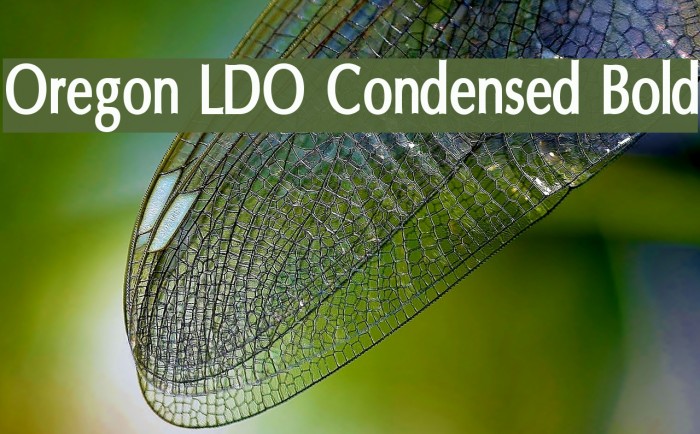 Oregon LDO Condensed Bold Example 3