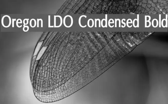 Oregon LDO Condensed Bold Font examples