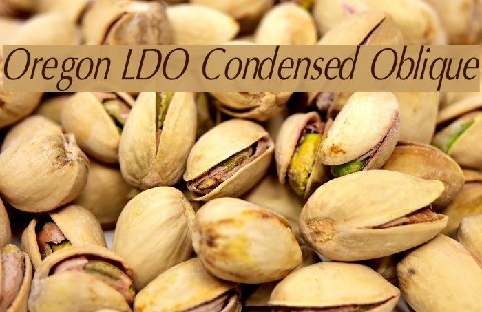 Oregon LDO Condensed Oblique Font examples
