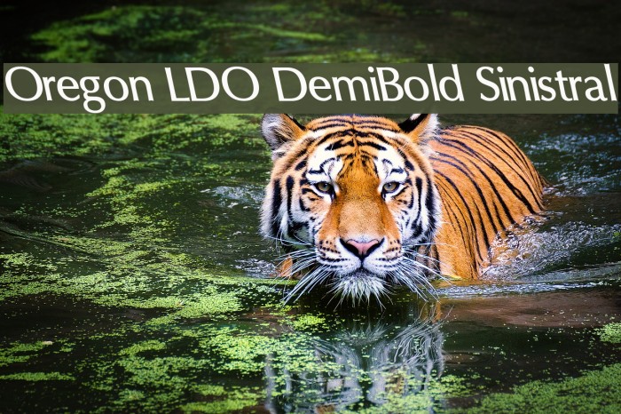Oregon LDO DemiBold Sinistral Font examples