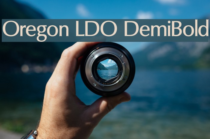 Oregon LDO DemiBold Font examples