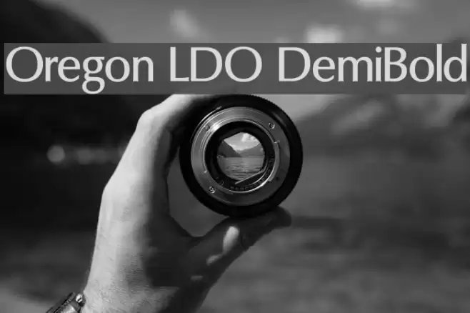 Oregon LDO DemiBold Font examples