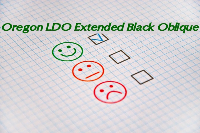 Oregon LDO Extended Black Oblique Font examples