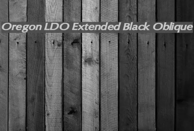 Oregon LDO Extended Black Oblique Schriftart examples
