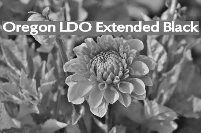 Oregon LDO Extended Black Font examples