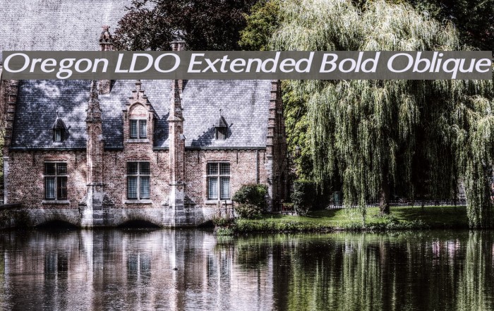 Oregon LDO Extended Bold Oblique Font examples