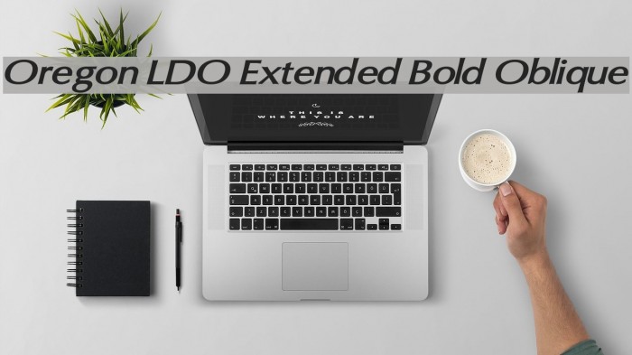 Oregon LDO Extended Bold Oblique Font examples