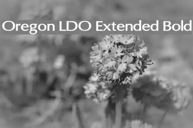 Oregon LDO Extended Bold Font examples