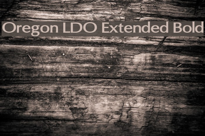Oregon LDO Extended Bold Font examples
