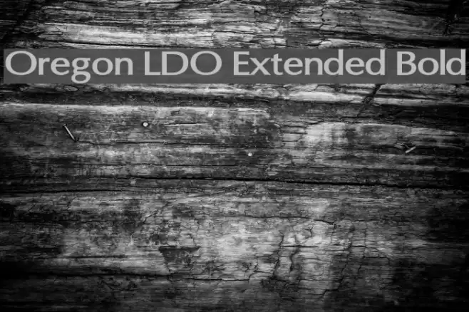 Oregon LDO Extended Bold Font examples