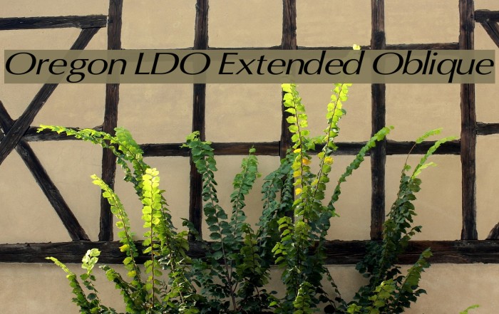 Oregon LDO Extended Oblique Font examples