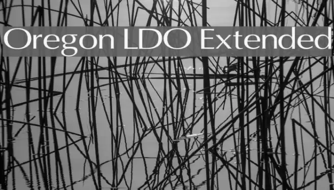 Oregon LDO Extended Font examples