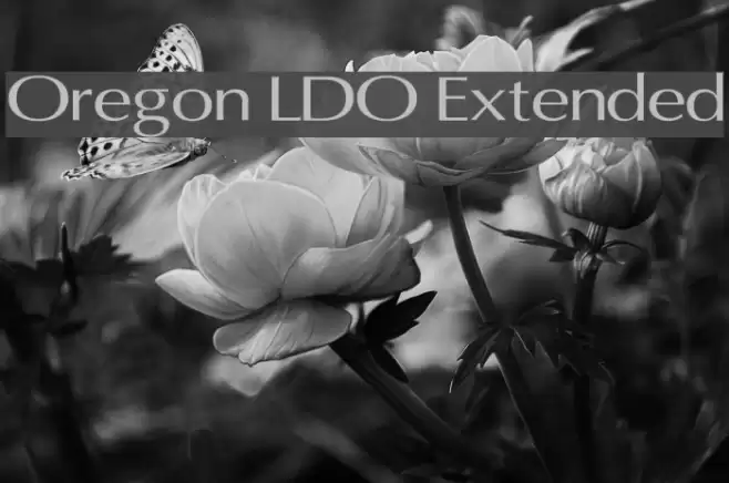 Oregon LDO Extended Font examples