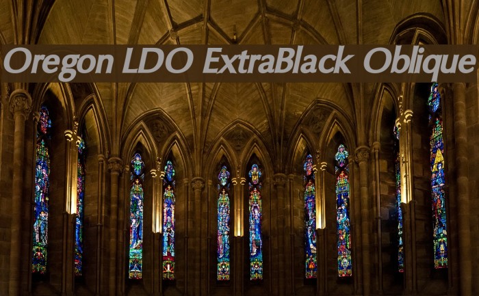 Oregon LDO ExtraBlack Oblique Font examples