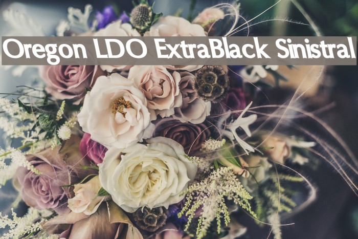 Oregon LDO ExtraBlack Sinistral Font examples