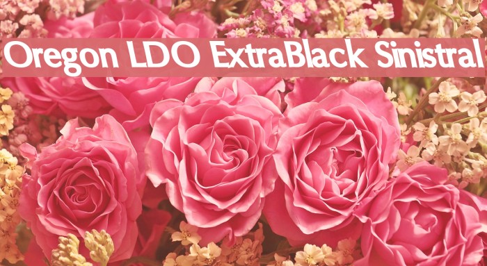 Oregon LDO ExtraBlack Sinistral Font examples