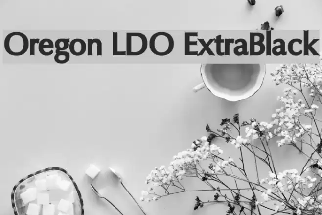 Oregon LDO ExtraBlack Font examples