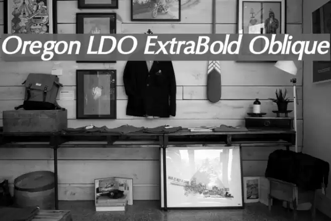 Oregon LDO ExtraBold Oblique Font examples