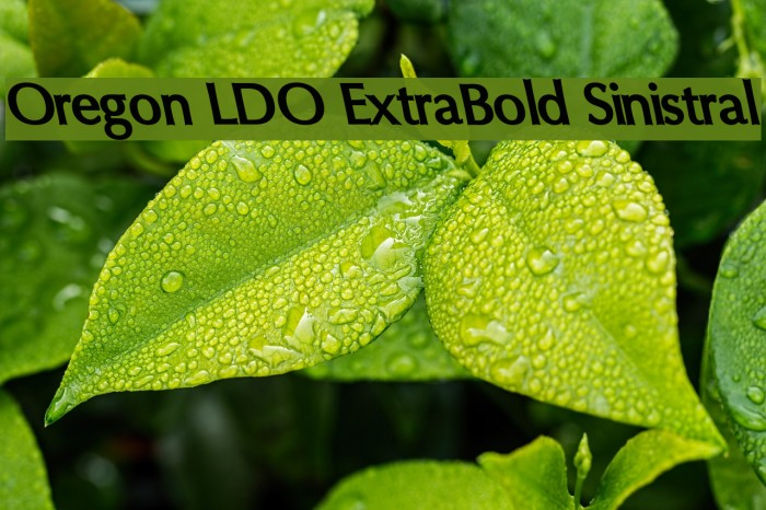 Oregon LDO ExtraBold Sinistral Font examples