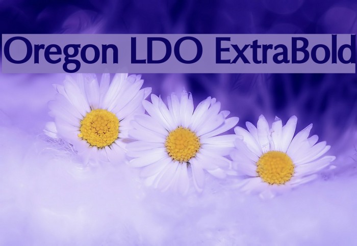 Oregon LDO ExtraBold Font examples