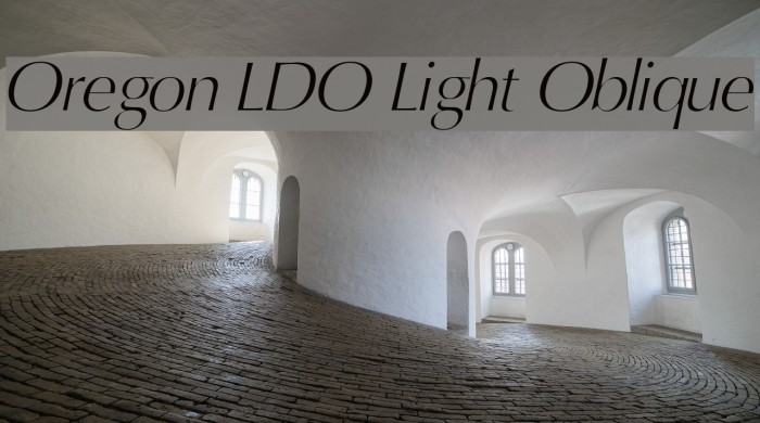 Oregon LDO Light Oblique Font examples