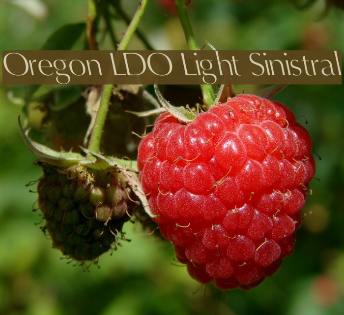 Oregon LDO Light Sinistral Example 2