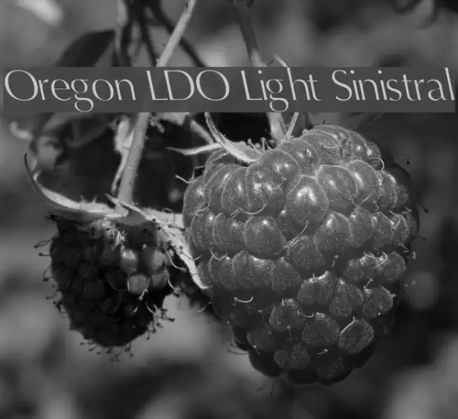 Oregon LDO Light Sinistral Font examples
