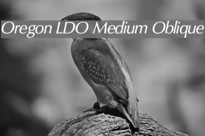 Oregon LDO Medium Oblique Font examples