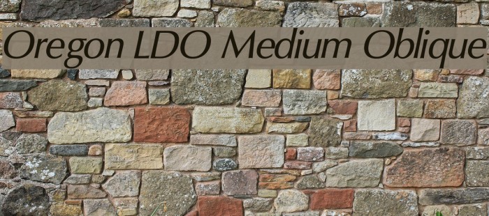 Oregon LDO Medium Oblique Example 2