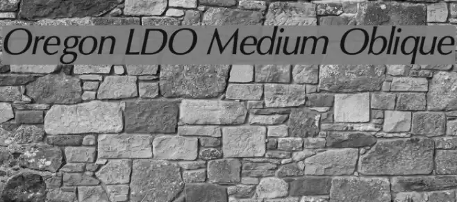 Oregon LDO Medium Oblique Font examples