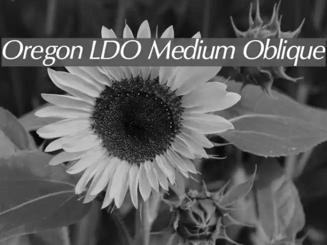 Oregon LDO Medium Oblique Font examples