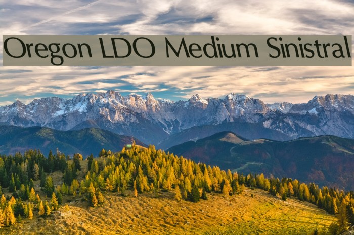 Oregon LDO Medium Sinistral Font examples