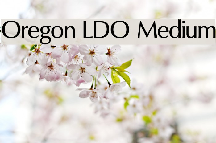Oregon LDO Medium Font examples