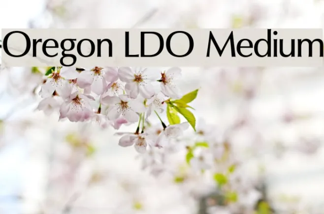 Oregon LDO Medium Example 1