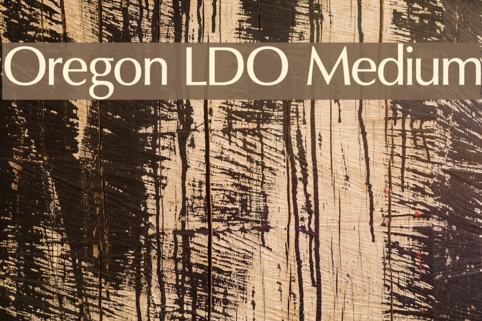 Oregon LDO Medium Font examples