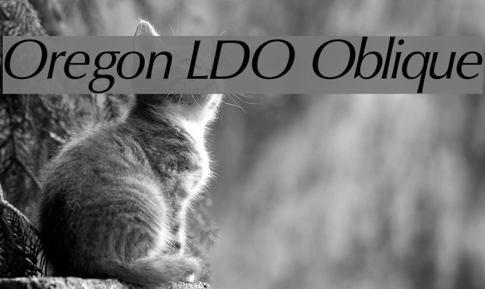 Oregon LDO Oblique Font examples