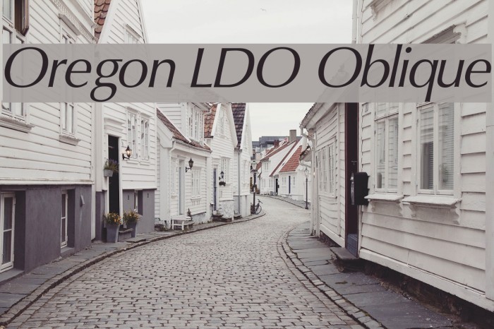 Oregon LDO Oblique Font examples