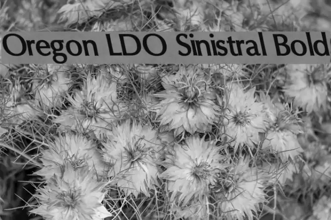 Oregon LDO Sinistral Bold Font examples