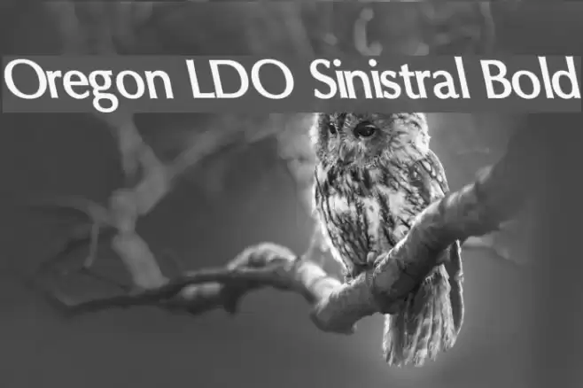 Oregon LDO Sinistral Bold Font examples
