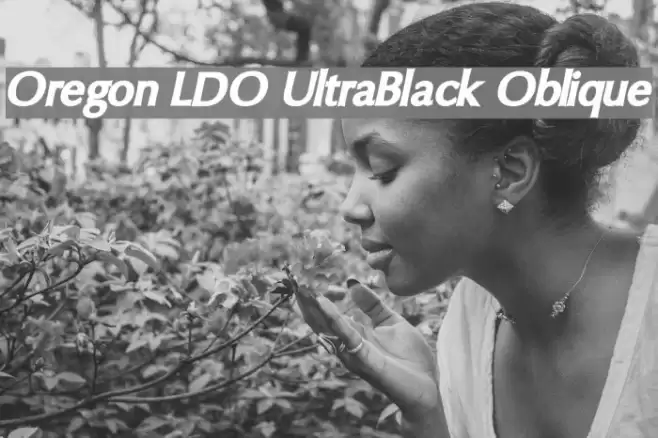 Oregon LDO UltraBlack Oblique Font examples