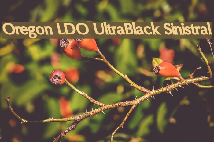 Oregon LDO UltraBlack Sinistral Font examples