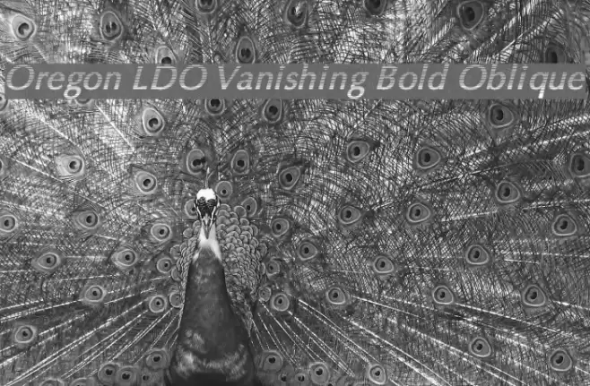 Oregon LDO Vanishing Bold Oblique Font examples