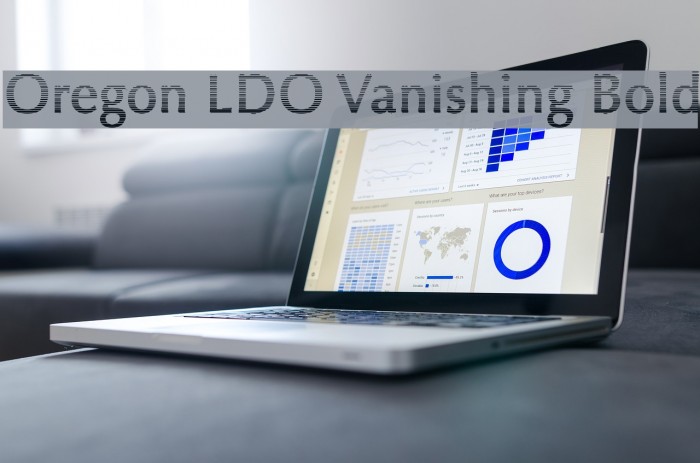 Oregon LDO Vanishing Bold Font examples